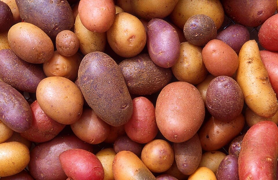 Batata Inglesa